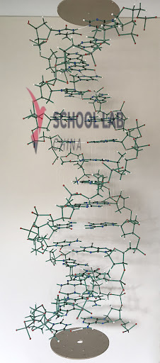cochranes Orbit DNA-RNA Kit